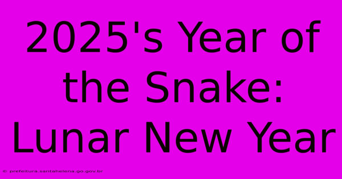 2025's Year Of The Snake: Lunar New Year