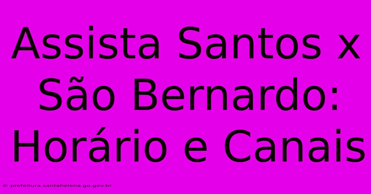 Assista Santos X São Bernardo: Horário E Canais