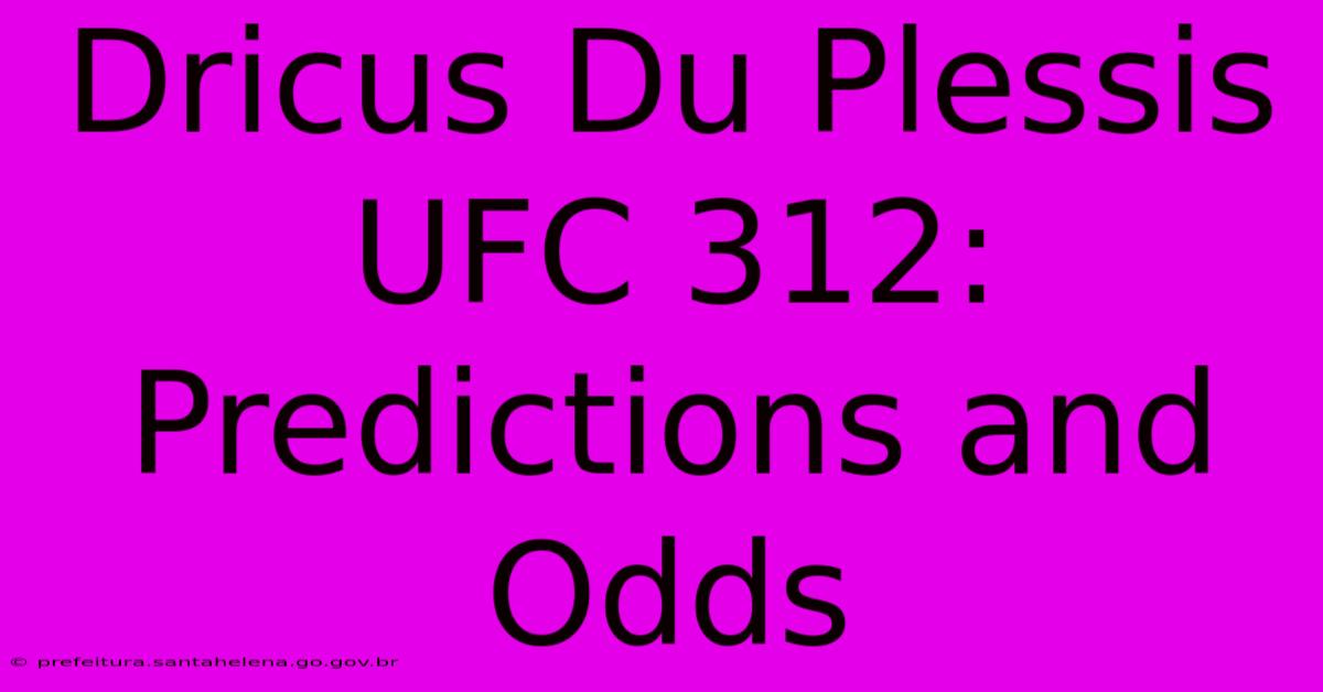 Dricus Du Plessis UFC 312: Predictions And Odds Dricus Du Plessis UFC 312: Predictions And Odds