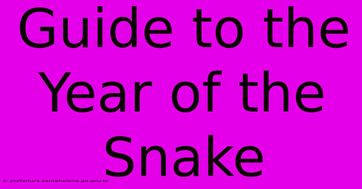 Guide To The Year Of The Snake