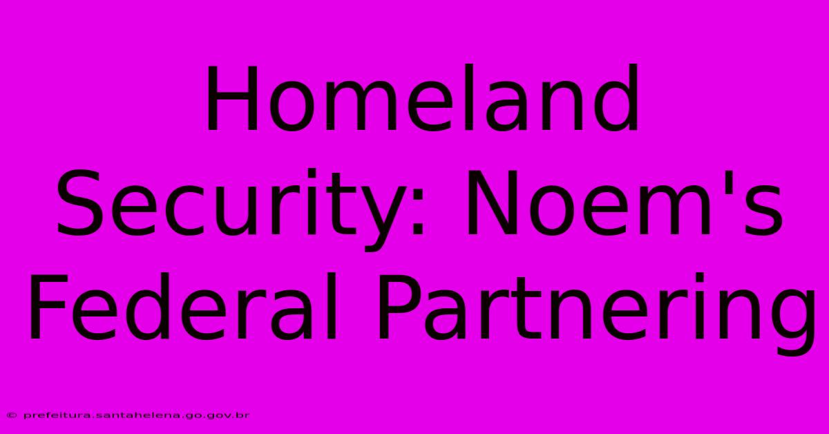 Homeland Security: Noem's Federal Partnering