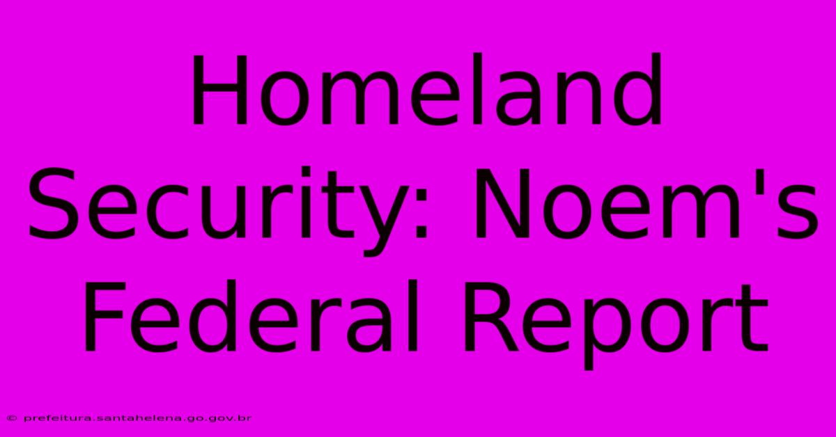 Homeland Security: Noem's Federal Report