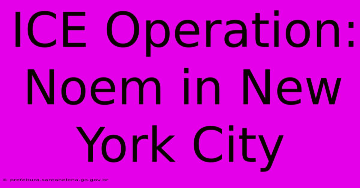 ICE Operation: Noem In New York City