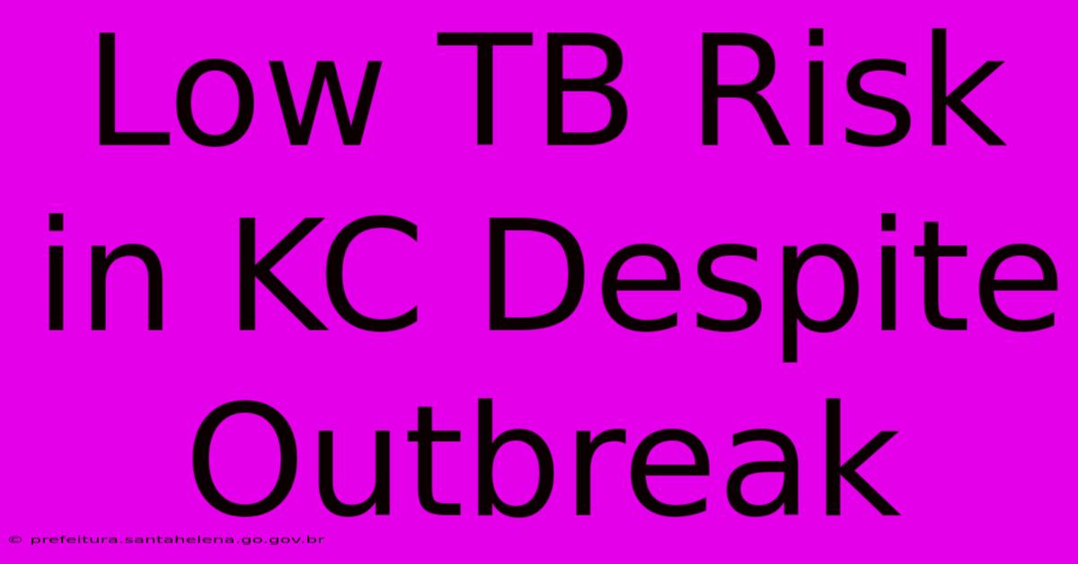 Low TB Risk In KC Despite Outbreak