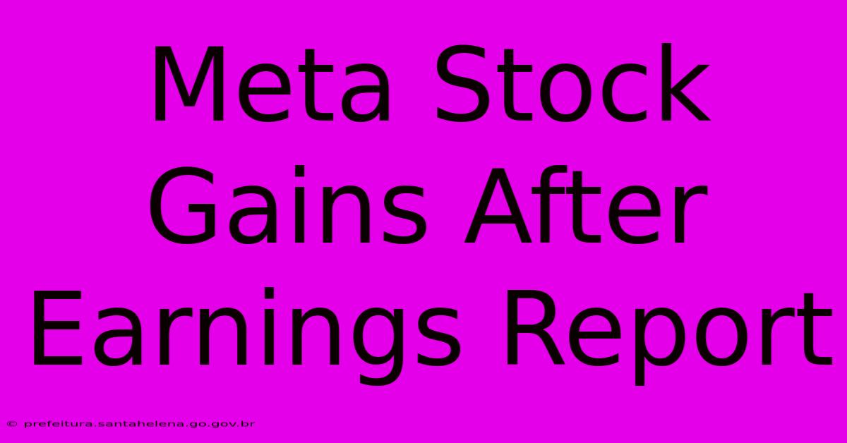 Meta Stock Gains After Earnings Report