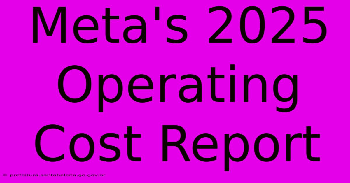 Meta's 2025 Operating Cost Report