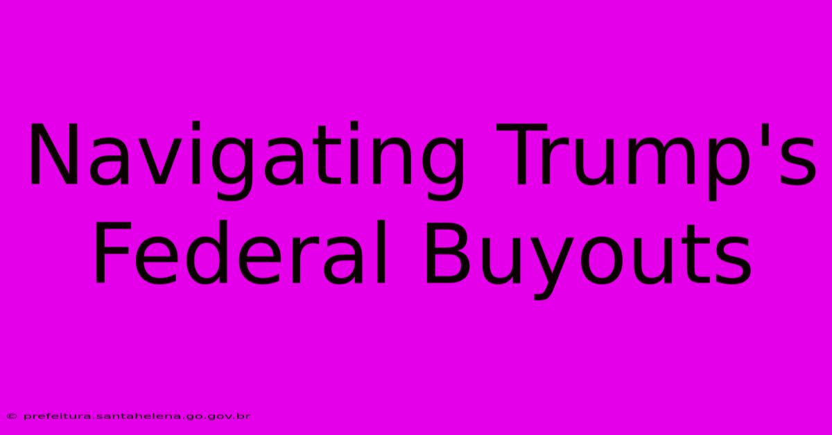 Navigating Trump's Federal Buyouts