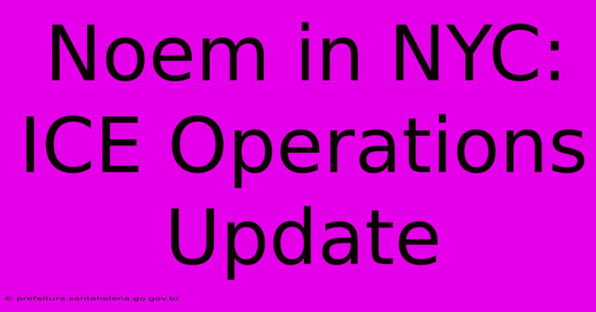 Noem In NYC: ICE Operations Update