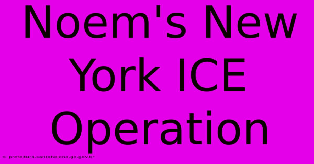 Noem's New York ICE Operation