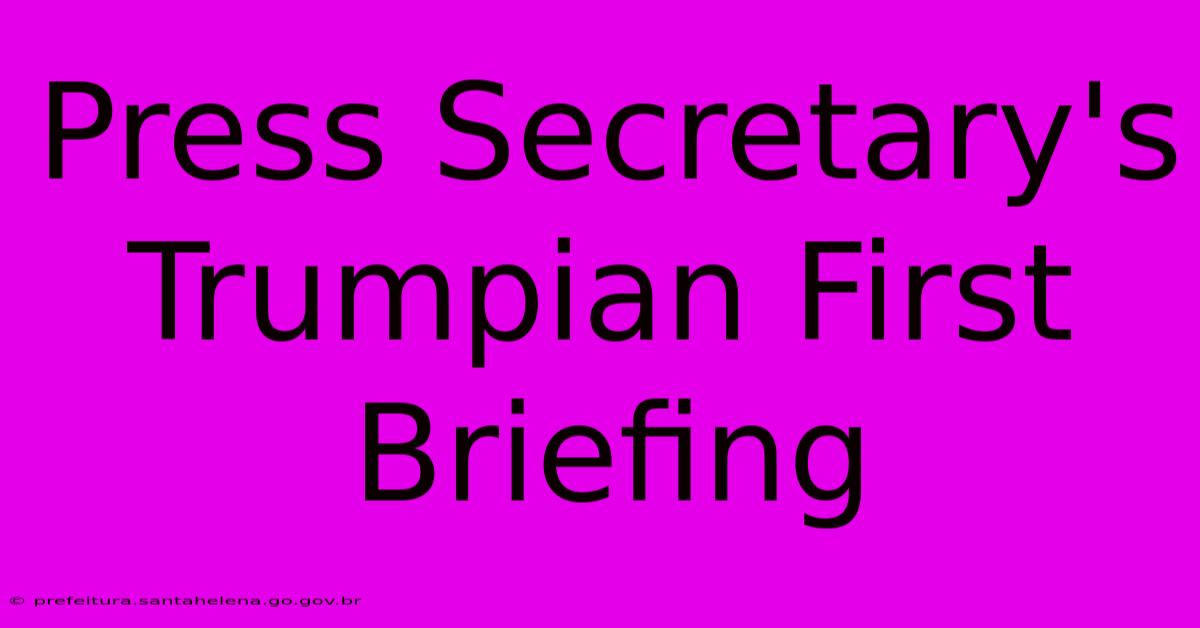 Press Secretary's Trumpian First Briefing