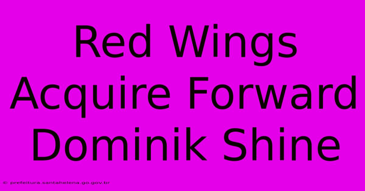 Red Wings Acquire Forward Dominik Shine