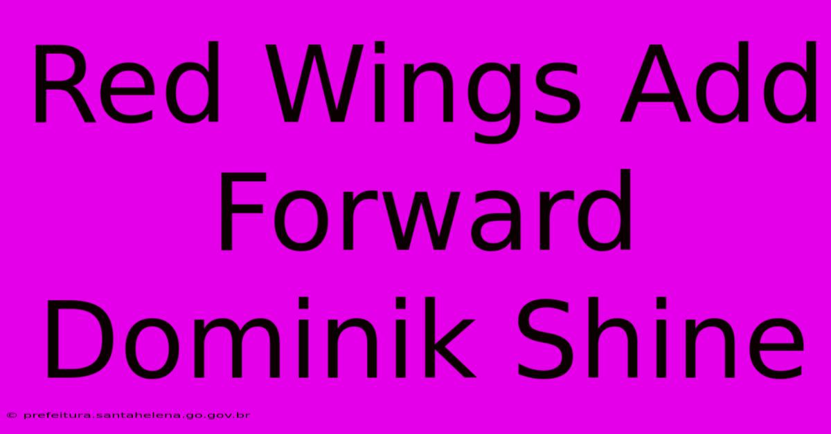 Red Wings Add Forward Dominik Shine