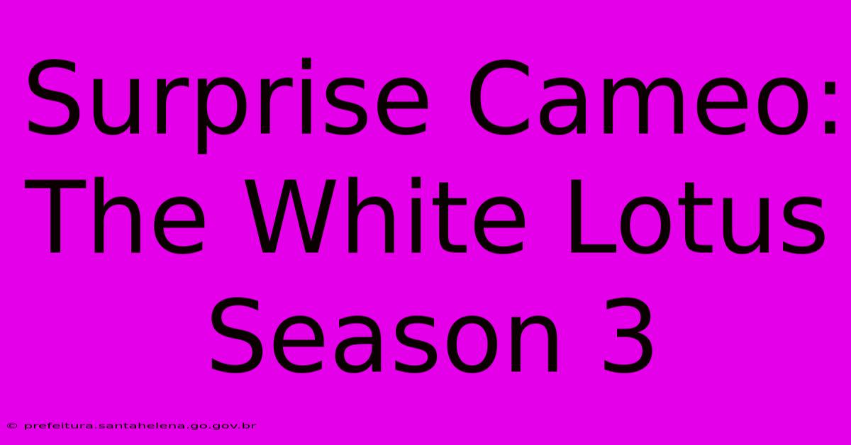 Surprise Cameo: The White Lotus Season 3 Surprise Cameo: The White Lotus Season 3