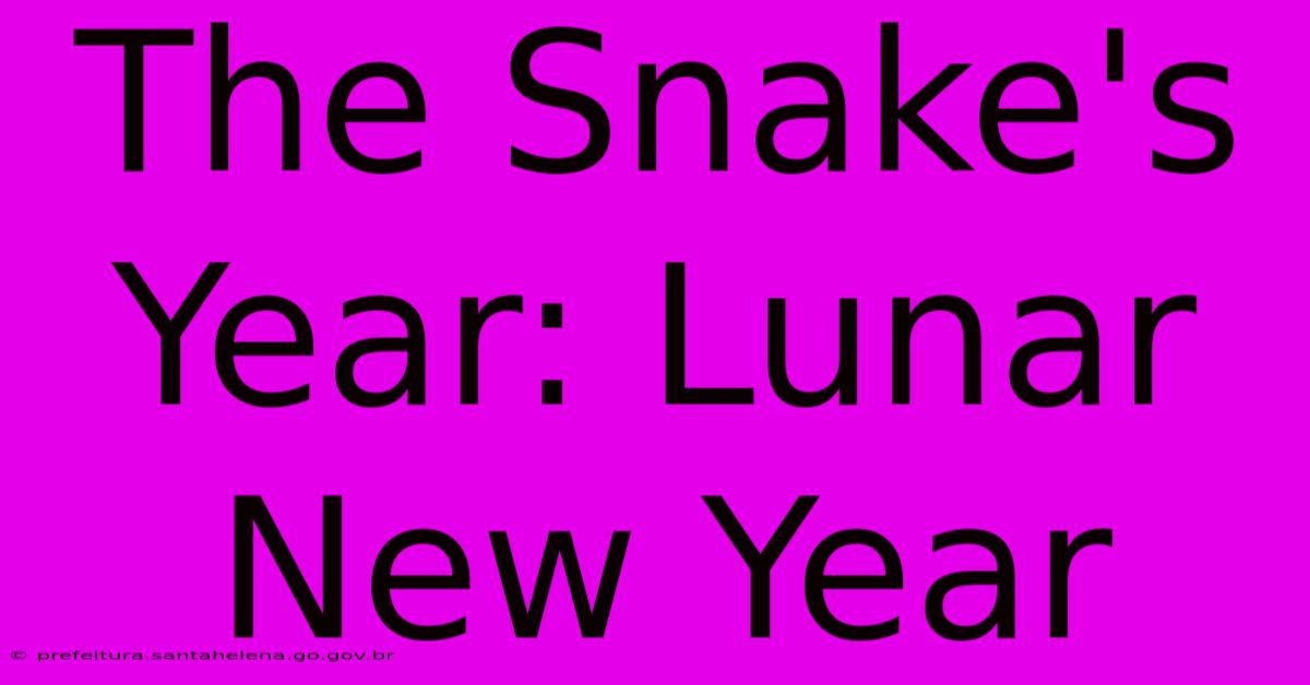 The Snake's Year: Lunar New Year