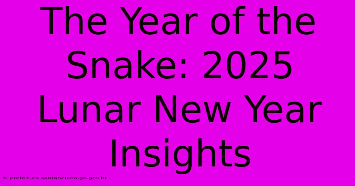 The Year Of The Snake: 2025 Lunar New Year Insights