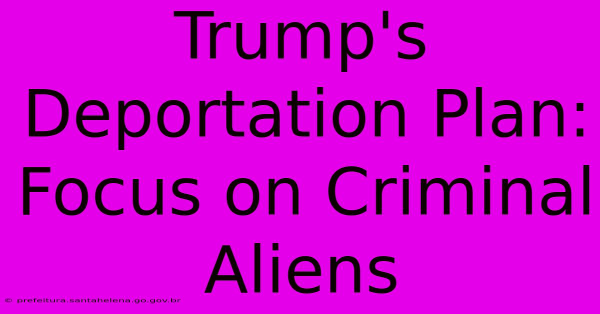 Trump's Deportation Plan: Focus On Criminal Aliens