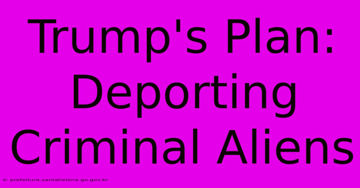 Trump's Plan: Deporting Criminal Aliens