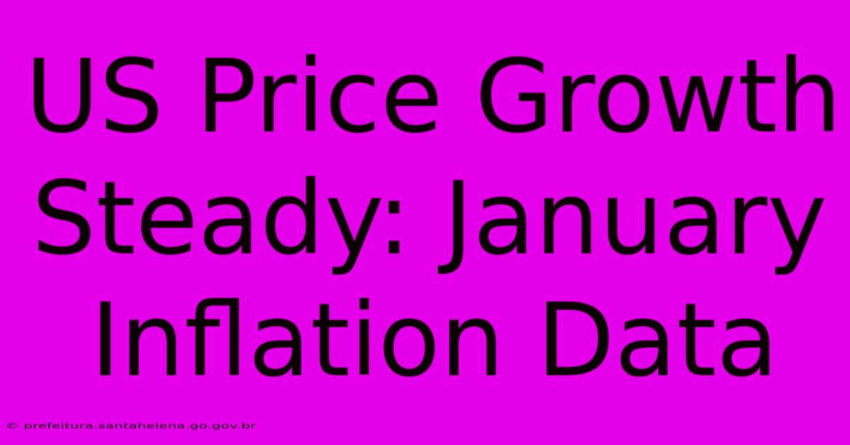 US Price Growth Steady: January Inflation Data US Price Growth Steady: January Inflation Data