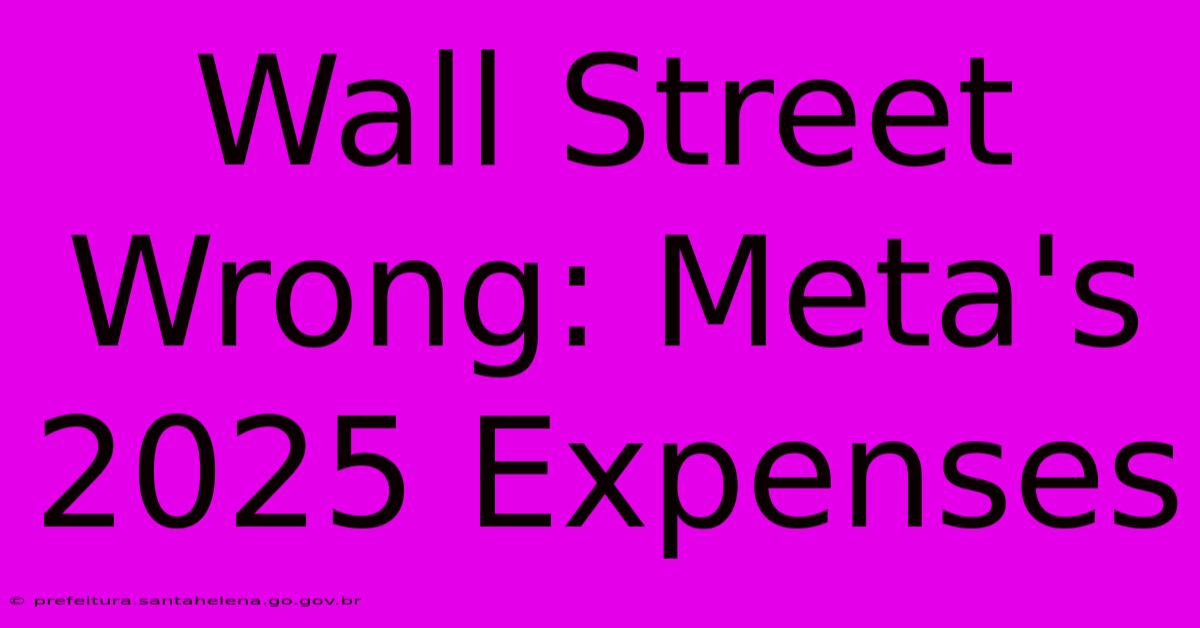 Wall Street Wrong: Meta's 2025 Expenses