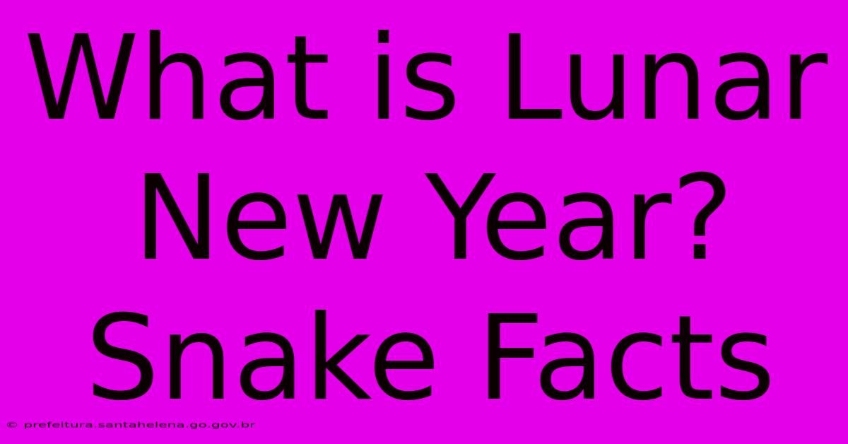 What Is Lunar New Year? Snake Facts