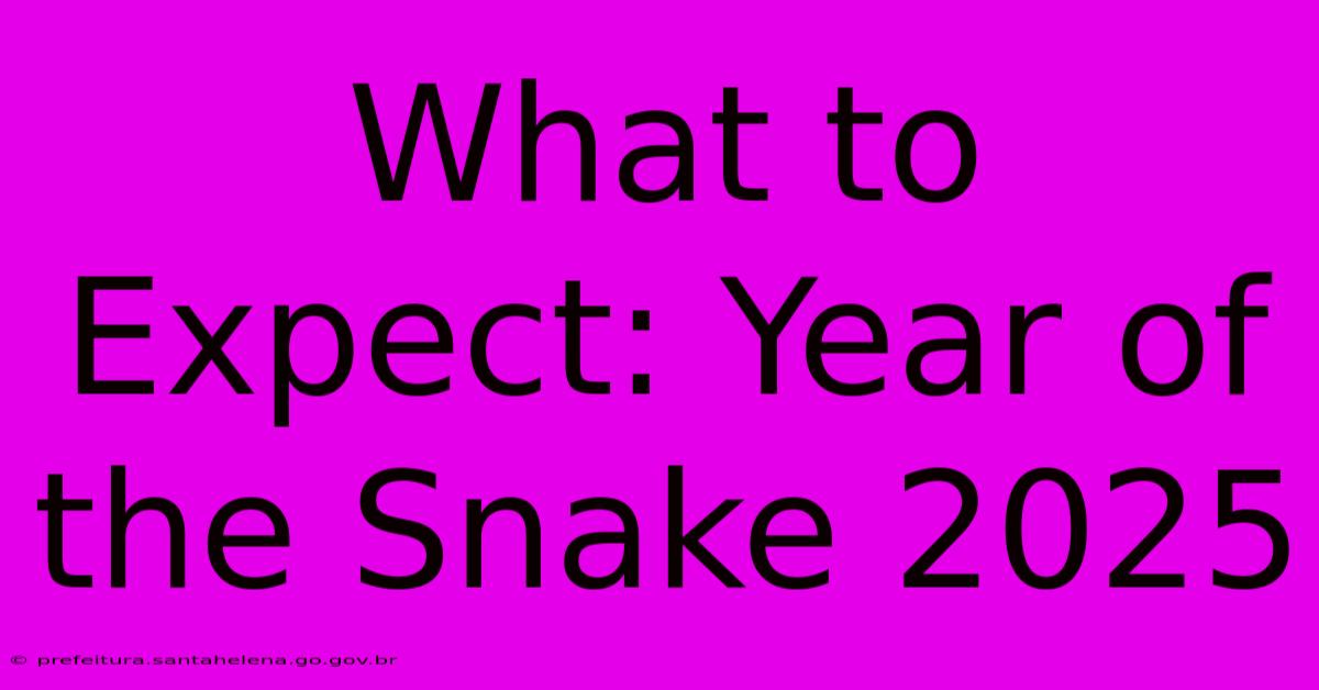 What To Expect: Year Of The Snake 2025