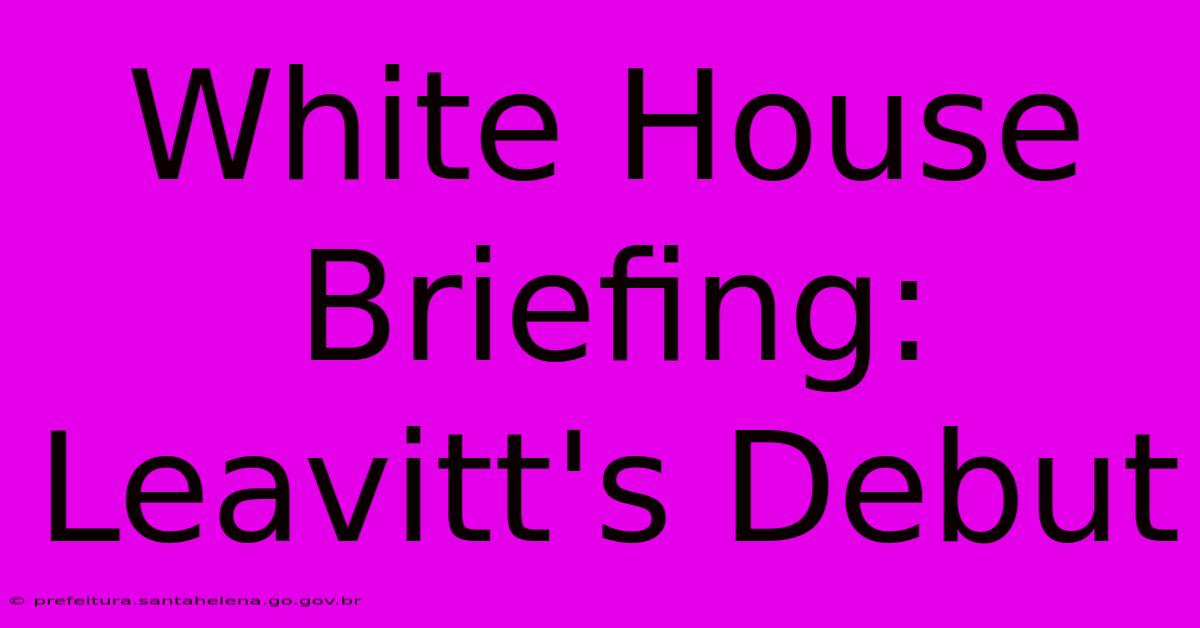 White House Briefing: Leavitt's Debut