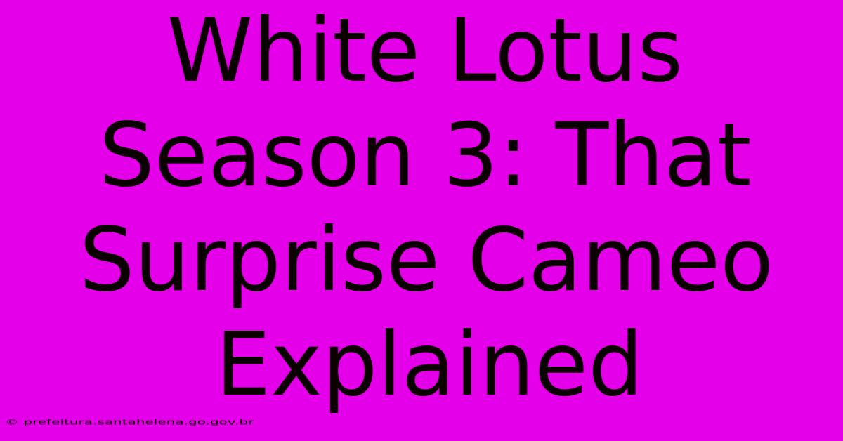 White Lotus Season 3: That Surprise Cameo Explained White Lotus Season 3: That Surprise Cameo Explained