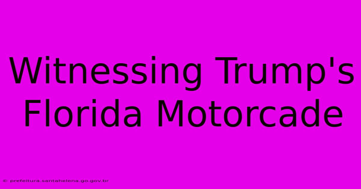 Witnessing Trump's Florida Motorcade