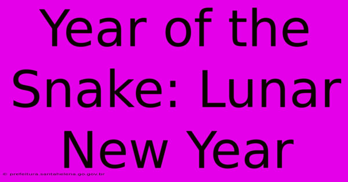 Year Of The Snake: Lunar New Year